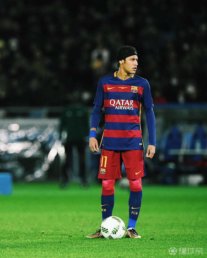 体育运动成 体育运动成