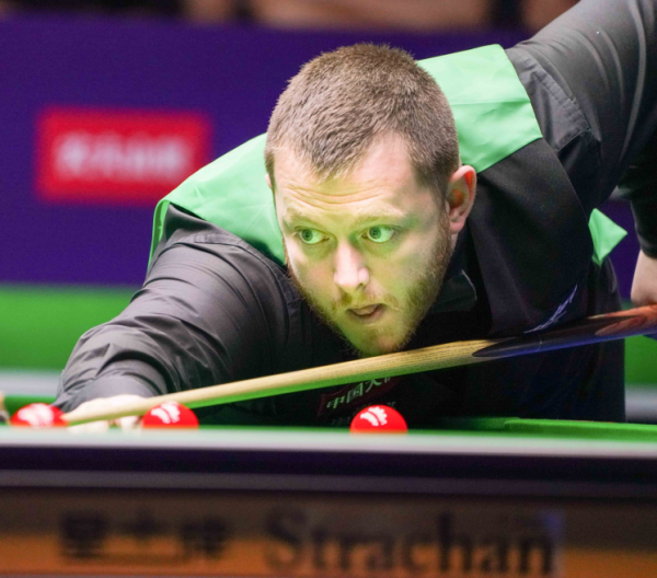 明星夫妻携 明星夫妻携