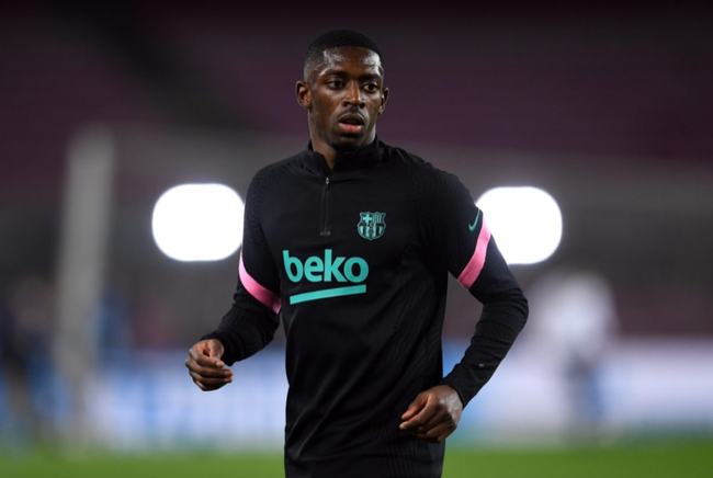 专业训练和 专业训练和